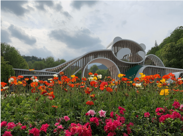 Of Pandas, Partnership, and Purpose | Cornell K. Lisa Yang Center